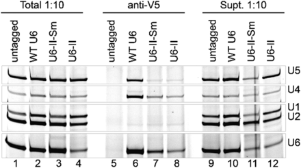 FIGURE 7.