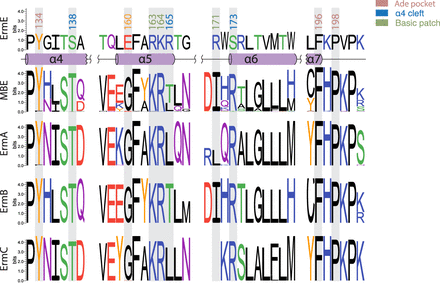 FIGURE 9.