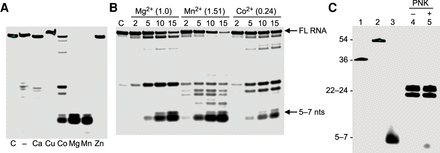 FIGURE 4.