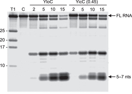FIGURE 7.