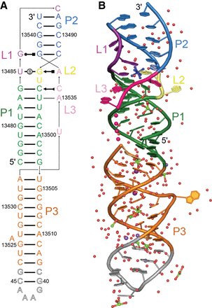 FIGURE 1.