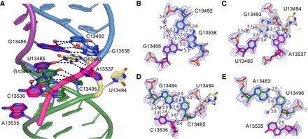 FIGURE 2.