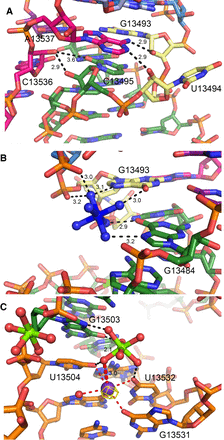 FIGURE 3.