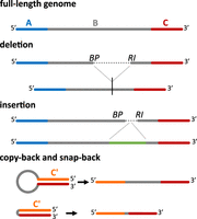 FIGURE 1.