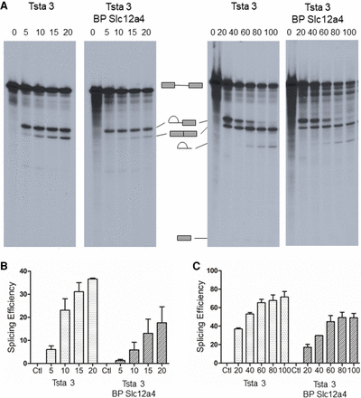 FIGURE 11.
