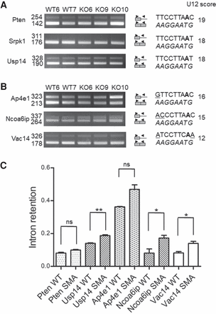 FIGURE 4.