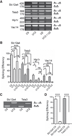 FIGURE 7.
