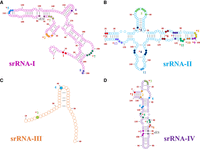 FIGURE 2.