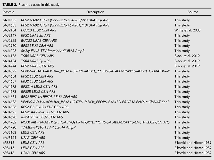 TABLE 2.