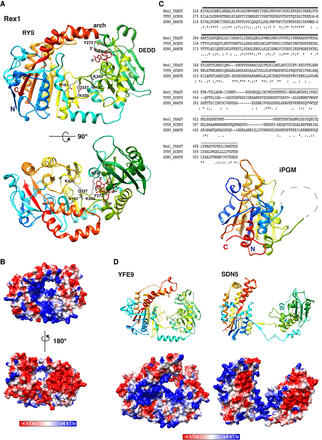 FIGURE 4.