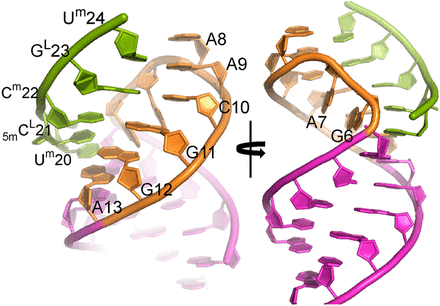 FIGURE 9.