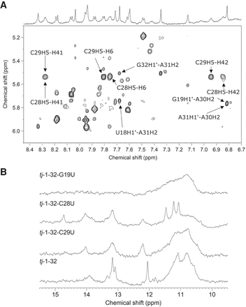 FIGURE 4.