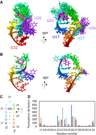 FIGURE 5.