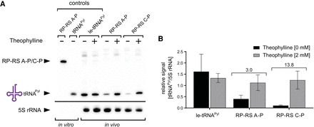 FIGURE 4.