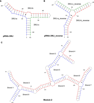 FIGURE 5.