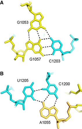 FIGURE 11.