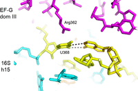 FIGURE 19.