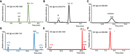 FIGURE 2.
