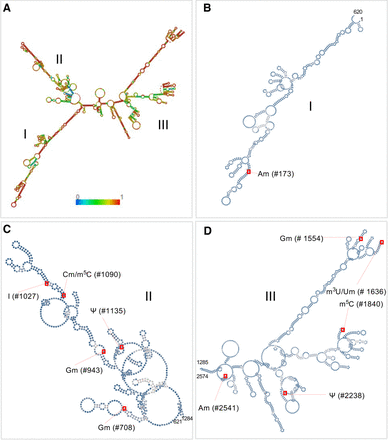 FIGURE 5.