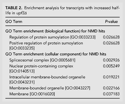 TABLE 2.