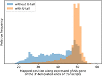 FIGURE 11.