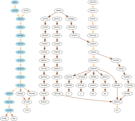 FIGURE 1.
