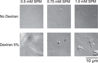 FIGURE 10.