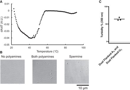 FIGURE 9.