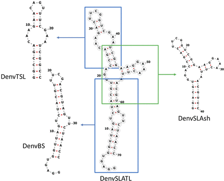 FIGURE 2.