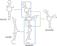 FIGURE 2.