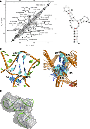FIGURE 6.