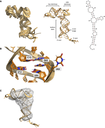 FIGURE 7.