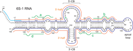 FIGURE 1.