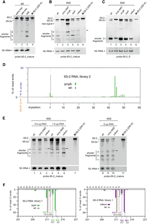 FIGURE 10.
