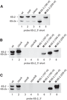 FIGURE 11.