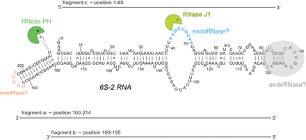 FIGURE 12.