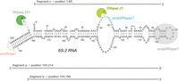 FIGURE 12.