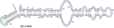 FIGURE 9.