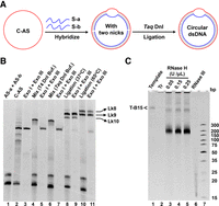 FIGURE 2.