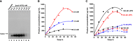 FIGURE 3.