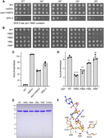 FIGURE 2.