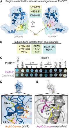 FIGURE 2.