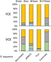 FIGURE 10.
