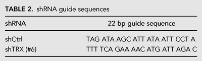 TABLE 2.