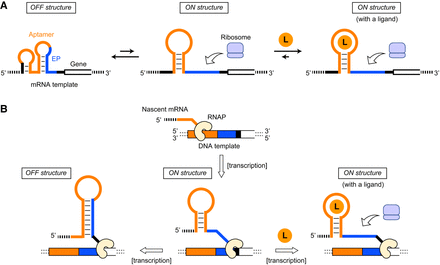 FIGURE 1.
