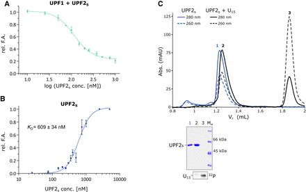FIGURE 2.