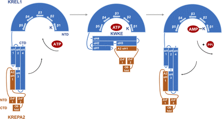 FIGURE 6.