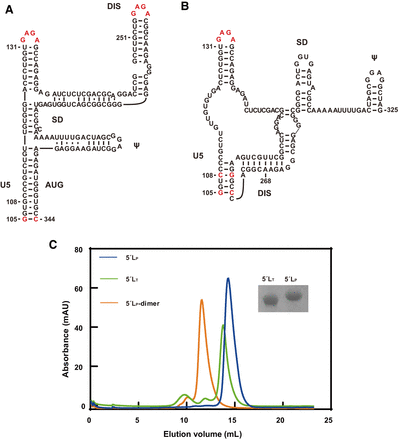 FIGURE 1.