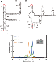 FIGURE 1.