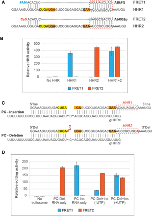 FIGURE 4.